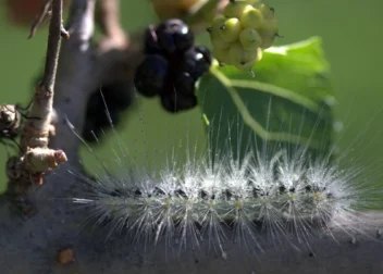 Inteligencia artificial legal gratis para dudas de extranjería