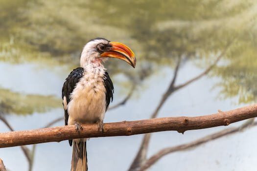 Abogados en Asesor.Legal | Asesoría legal para Gana Energía cobra después de la baja del contrato: qué hacer Abogados en Asesor.Legal gana energia cobra despues de la baja del contrato que hacer 1
