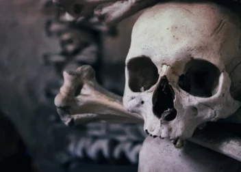 Consulta legal online con inteligencia artificial las 24 horas