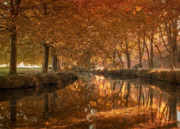 IA para revisar contratos de compraventa de tecnología