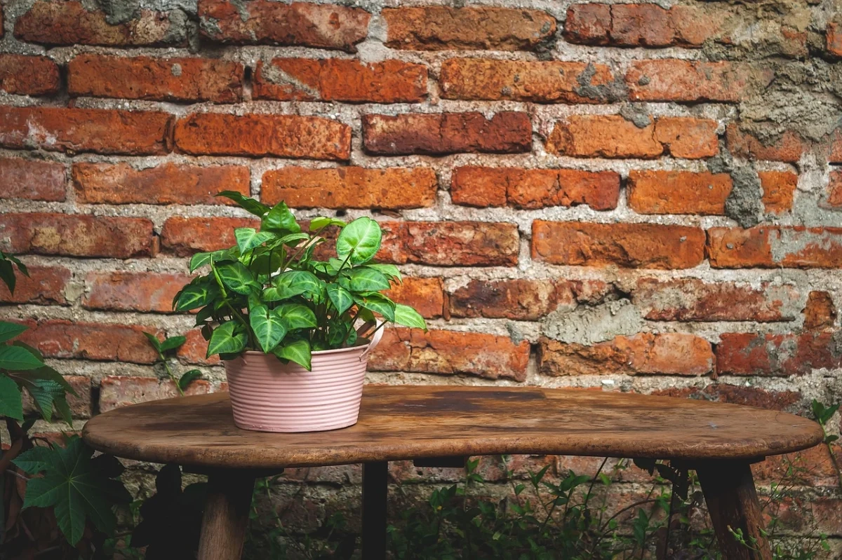 IA para revisar contratos de arrendamiento rústico