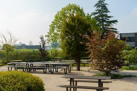 Abogados en Asesor.Legal | Asesoría legal para Geely que pierde potencia o se apaga en marcha: opciones legales Abogados en Asesor.Legal geely que pierde potencia o se apaga en marcha opciones legales 2