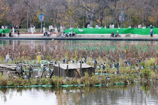 Abogados en Asesor.Legal gemini para consultas rapidas sobre multas de aparcamiento 3