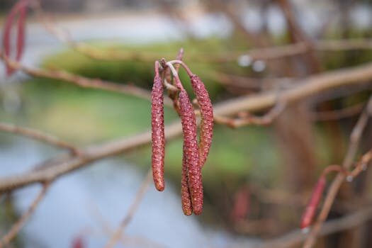 Abogados en Asesor.Legal gemini para consultas rapidas sobre multas de aparcamiento 4