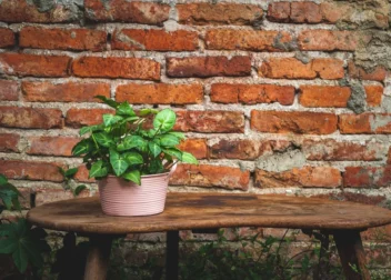 IA para revisar contratos de arrendamiento rústico