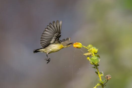 Abogados en Asesor.Legal | Asesoría legal para Guía completa 2026: compensación por vuelo retrasado en España Abogados en Asesor.Legal guia completa 2026 compensacion por vuelo retrasado en espana 2