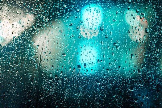 Abogados en Asesor.Legal humedades en vivienda nueva maxima indemnizacion por defectos de construccion plazos y tramites contra realia 1
