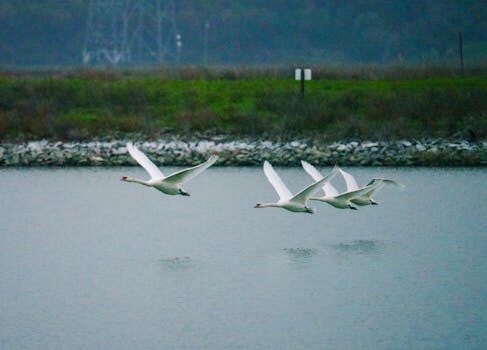Abogados en Asesor.Legal | Asesoría legal para IA aplicada a reclamaciones de vuelos cancelados Abogados en Asesor.Legal ia aplicada a reclamaciones de vuelos cancelados 1
