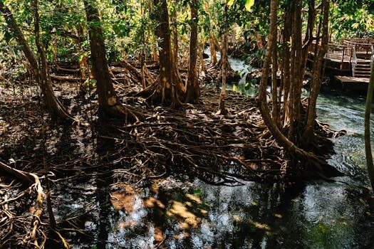 Abogados en Asesor.Legal | Asesoría legal para IA para preparar un escrito de reclamación bancaria Abogados en Asesor.Legal ia para preparar un escrito de reclamacion bancaria 4