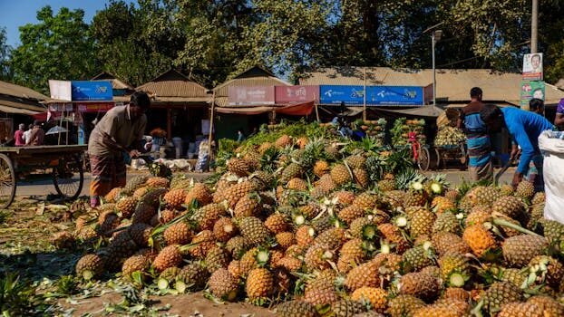 Abogados en Asesor.Legal | Asesoría legal para IA para reclamar a un marketplace por vendedores fraudulentos Abogados en Asesor.Legal ia para reclamar a un marketplace por vendedores fraudulentos 1