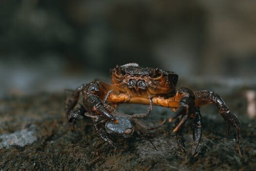 Abogados en Asesor.Legal | Asesoría legal para IA para reclamar servicios streaming con fallos constantes Abogados en Asesor.Legal ia para reclamar servicios streaming con fallos constantes 4