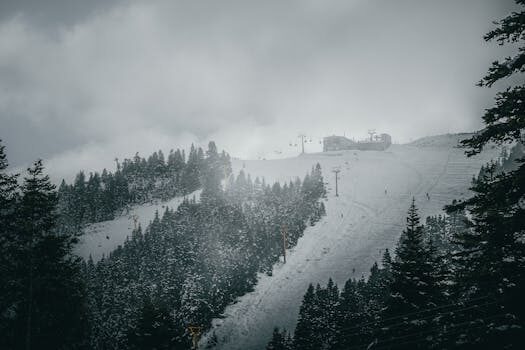 Abogados en Asesor.Legal | Asesoría legal para IA para revisar contratos de alquiler vacacional Abogados en Asesor.Legal ia para revisar contratos de alquiler vacacional 3