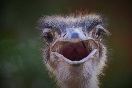 Abogados en Asesor.Legal | Asesoría legal para Incumplimiento de plazos: vías legales para denunciar a Bekinsa y recuperar la reserva Abogados en Asesor.Legal incumplimiento de plazos vias legales para denunciar a bekinsa y recuperar la totalidad de la reserva 5