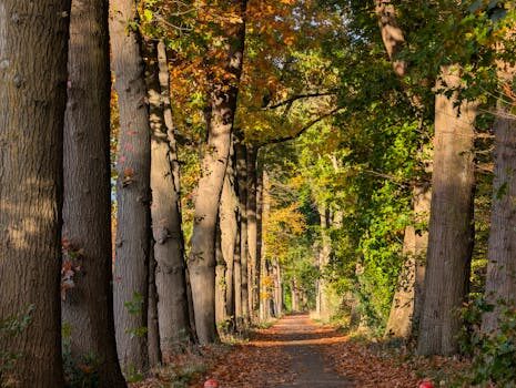 Abogados en Asesor.Legal | Asesoría legal para Jurisprudencia sobre piso con problemas en Arqura Abogados en Asesor.Legal jurisprudencia sobre piso con problemas en arqura 1