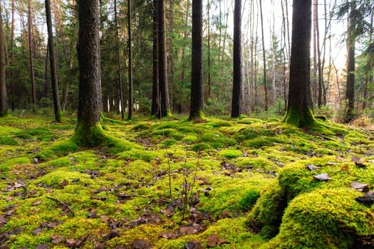 Abogados en Asesor.Legal jurisprudencia sobre piso con problemas en grupo lobe 4