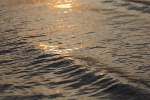 Abogados en Asesor.Legal liquidacion de empresas proceso legal y pasos 3