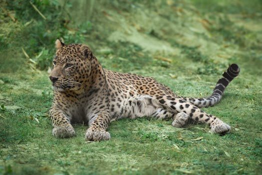 Abogados en Asesor.Legal | Asesoría legal para Lobein: cómo demandar por fallos en la calidad de los revestimientos de baño Abogados en Asesor.Legal lobein como demandar por fallos en la calidad de los revestimientos de bano 1