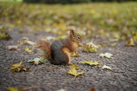 Abogados en Asesor.Legal | Asesoría legal para Lobein: cómo demandar por fallos en la calidad de los revestimientos de baño Abogados en Asesor.Legal lobein como demandar por fallos en la calidad de los revestimientos de bano 3