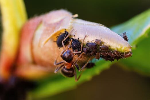 Abogados en Asesor.Legal | Asesoría legal para ¿Me pueden despedir por lo que publico en redes sociales? Abogados en Asesor.Legal me pueden despedir por lo que publico en redes sociales 2