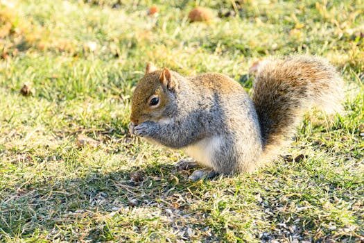 Abogados en Asesor.Legal mis derechos calidades inferiores en piso de via celere 5