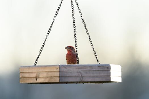 Abogados en Asesor.Legal mis derechos desperfectos en piso de habitatges de catalunya 4