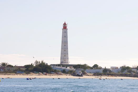 Abogados en Asesor.Legal modelo de solicitud de amparo colegial para abogados 2