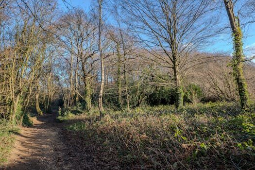 Abogados en Asesor.Legal nuda propiedad en madrid que es ventajas y riesgos 4