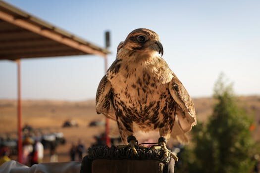 Abogados en Asesor.Legal | Asesoría legal para Pérdida de reserva por LPO: expertos legales para reclamar indemnización a AQ Acentor Abogados en Asesor.Legal perdida de reserva por lpo expertos legales para denunciar a aq acentor y reclamar indemnizacion total 1