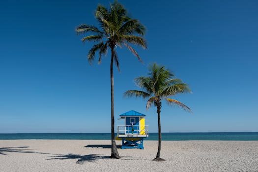 Abogados en Asesor.Legal | Asesoría legal para Peritaje para humedades en AQ Acentor: guía y consejos prácticos Abogados en Asesor.Legal peritaje para humedades en aq acentor 5