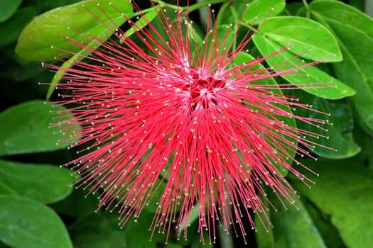 Abogados en Asesor.Legal petroprix causa subidas de tension que danan electrodomesticos 3