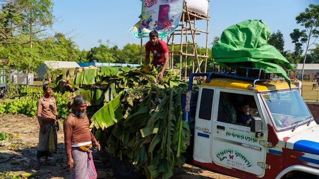 Abogados en Asesor.Legal | Asesoría legal para Petroprix deja sin suministro sin cumplir requisitos: derechos y reclamación Abogados en Asesor.Legal petroprix deja sin suministro sin cumplir requisitos derechos y reclamacion 4