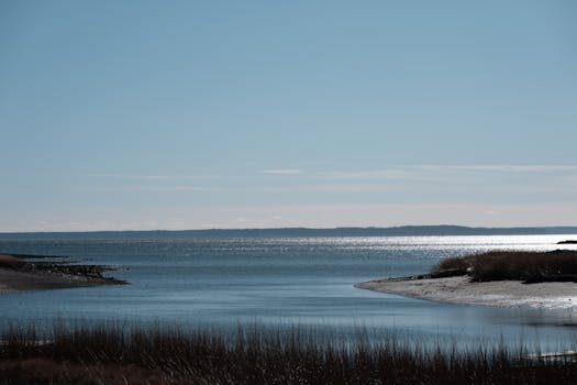 Abogados en Asesor.Legal | Asesoría legal para Piezas de baja calidad que causan una avería grave: cómo denunciar Abogados en Asesor.Legal piezas de baja calidad que causan una averia grave como denunciar 1