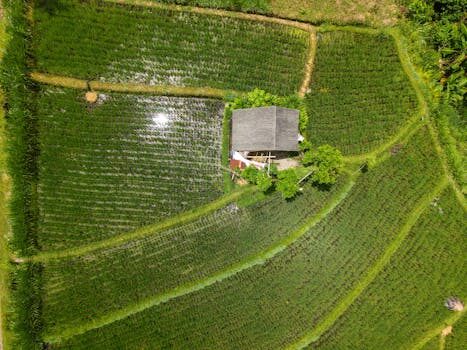 Abogados en Asesor.Legal plantilla de landing para especialidad legal estructura y ejemplos 3