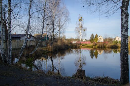 Abogados en Asesor.Legal | Asesoría legal para Problemas tras un cambio de aceite mal realizado: guía legal Abogados en Asesor.Legal problemas tras un cambio de aceite mal realizado guia legal 1