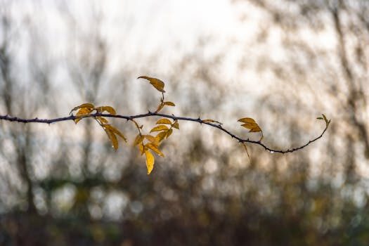 Abogados en Asesor.Legal | Asesoría legal para Problemas tras un cambio de aceite mal realizado: guía legal Abogados en Asesor.Legal problemas tras un cambio de aceite mal realizado guia legal 2