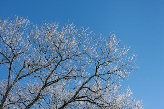 Abogados en Asesor.Legal | Asesoría legal para Propiedad horizontal: aspectos legales y normativa básica Abogados en Asesor.Legal propiedad horizontal aspectos legales y normativa basica 1