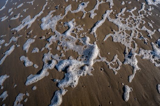 Abogados en Asesor.Legal | Asesoría legal para Propiedad horizontal: aspectos legales y normativa básica Abogados en Asesor.Legal propiedad horizontal aspectos legales y normativa basica 2