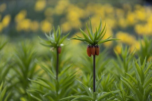 Abogados en Asesor.Legal | Asesoría legal para Propiedad horizontal: aspectos legales y normativa básica Abogados en Asesor.Legal propiedad horizontal aspectos legales y normativa basica 4
