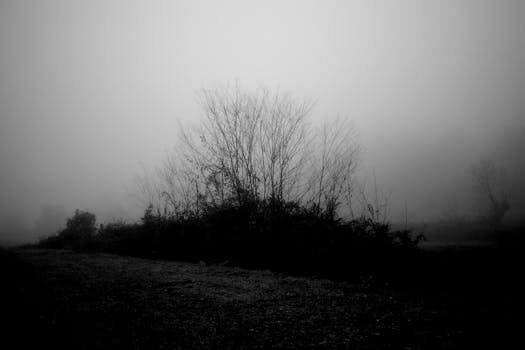 Abogados en Asesor.Legal | Asesoría legal para ¿Pueden obligarte a volver al trabajo presencial si tienes teletrabajo? Abogados en Asesor.Legal pueden obligarte a volver al trabajo presencial si tienes teletrabajo 1