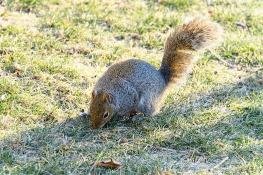 Abogados en Asesor.Legal | Asesoría legal para ¿Qué derechos tengo si una avería en el sistema híbrido de Voyah provoca inmovilizaciones constantes? Abogados en Asesor.Legal que derechos tengo si una averia en el sistema hibrido de voyah provoca inmovilizaciones constantes 2