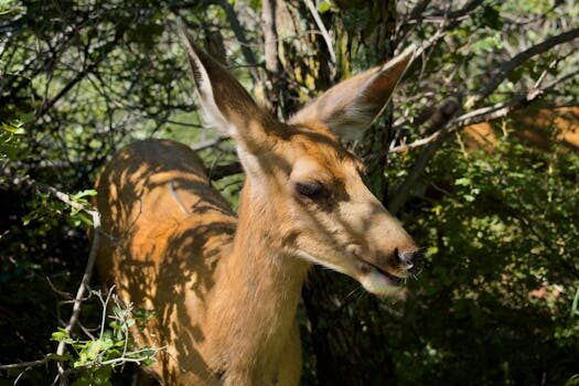 Abogados en Asesor.Legal | Asesoría legal para ¿Qué derechos tengo si una avería en el sistema híbrido de Voyah provoca inmovilizaciones constantes? Abogados en Asesor.Legal que derechos tengo si una averia en el sistema hibrido de voyah provoca inmovilizaciones constantes 5