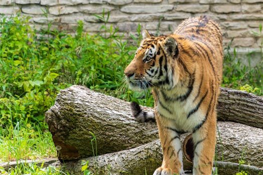 Abogados en Asesor.Legal | Asesoría legal para Qué evidencias sirven para reclamar daños por un corte energético de CHC Energía Abogados en Asesor.Legal que evidencias sirven para reclamar danos por un corte energetico de chc energia 1