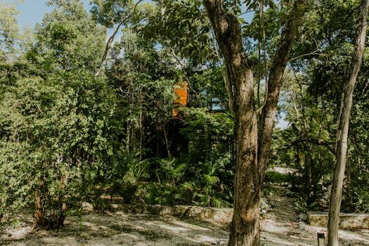 Abogados en Asesor.Legal | Asesoría legal para Qué hacer ante vicios ocultos de Acciona Inmobiliaria Abogados en Asesor.Legal que hacer ante vicios ocultos de acciona inmobiliaria 5