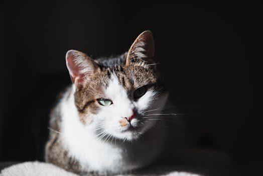 Abogados en Asesor.Legal | Asesoría legal para Qué hacer si American Express te bloquea y qué opciones tienes Abogados en Asesor.Legal que hacer si american express te bloquea y que opciones tienes 1