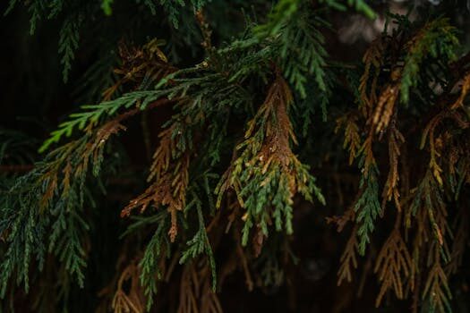 Abogados en Asesor.Legal que hacer si lucera factura un local comercial cerrado 3