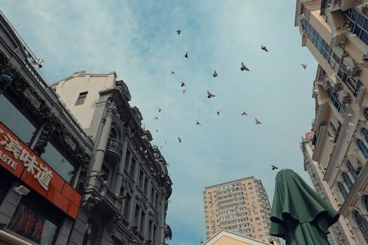 Abogados en Asesor.Legal que hacer si nexus energia factura un local comercial cerrado 4