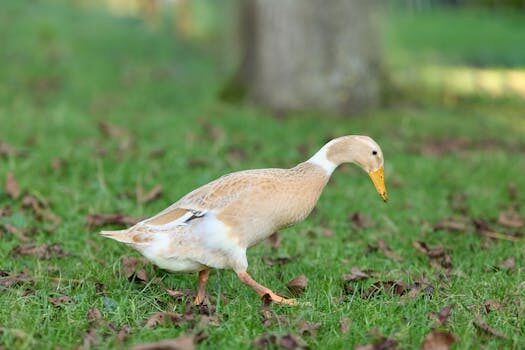 Abogados en Asesor.Legal que hacer si nortegas factura un local comercial cerrado 1