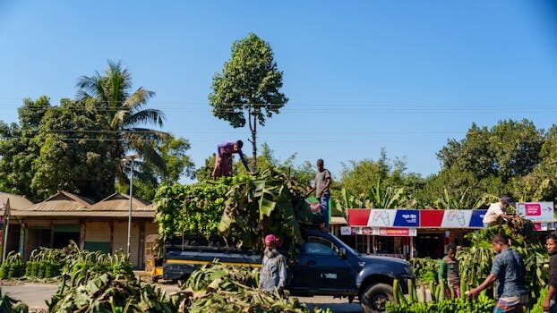 Abogados en Asesor.Legal | Asesoría legal para Qué hacer si Teramelcor te dio de alta un suministro sin tu consentimiento expreso Abogados en Asesor.Legal que hacer si teramelcor te dio de alta un suministro sin tu consentimiento expreso 2
