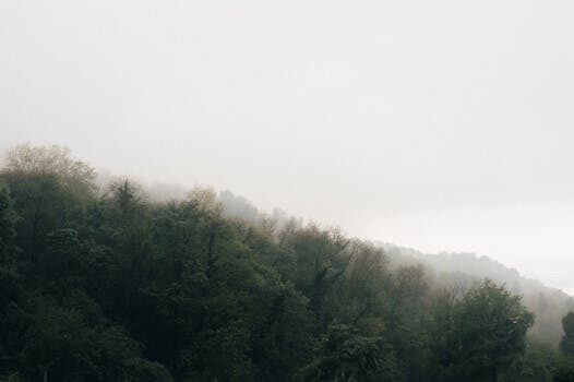 Abogados en Asesor.Legal que ventajas y desventajas tiene la jubilacion anticipada 1