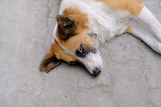 Abogados en Asesor.Legal reclamacion a audi por fallos electronicos derechos del consumidor y abogado 4